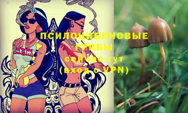 ешки Абаза