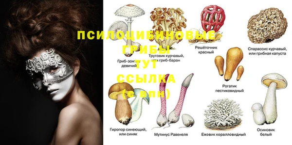 кокаин перу Новодвинск
