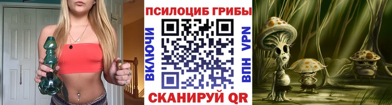 Псилоцибиновые грибы Cubensis  omg ссылки  Пойковский 