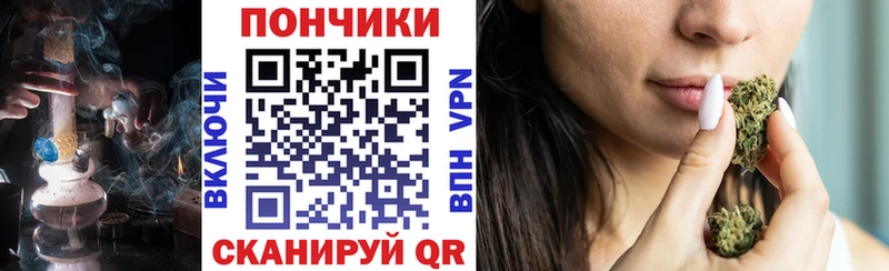 Канабис семена  продажа наркотиков  мега зеркало  Пойковский 